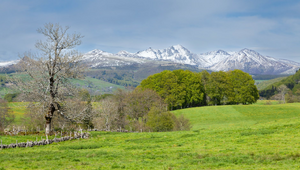 Agence Immobilière Mont-de-Marsan